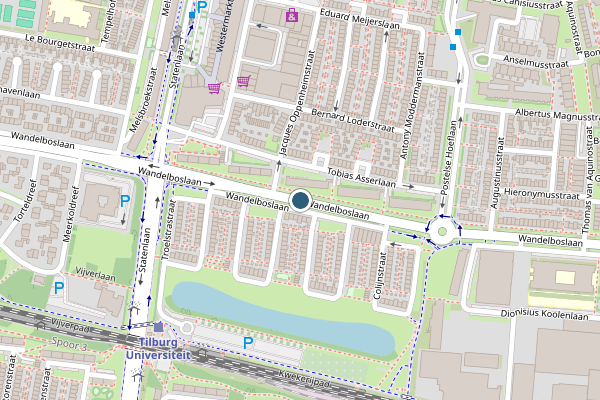 Politie-melding op Wandelboslaan, Tilburg op 21 juli, kaart-overzicht
