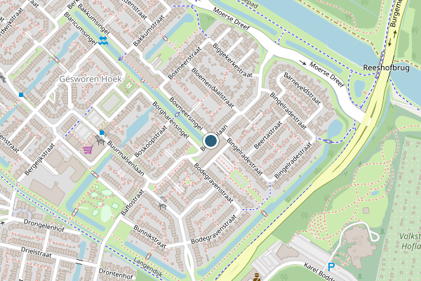 Politie-melding op Borculolaan, Tilburg op 12 juni, kaart-overzicht