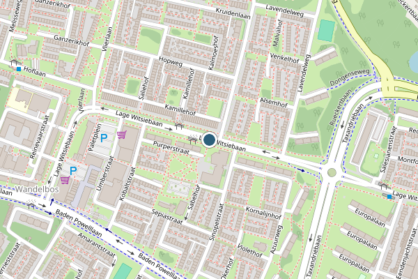 Politie-melding op Lage Witsiebaan, Tilburg op 19 juni, kaart-overzicht